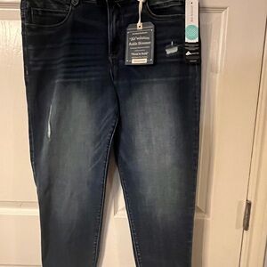 Democracy Blue Capri Pants